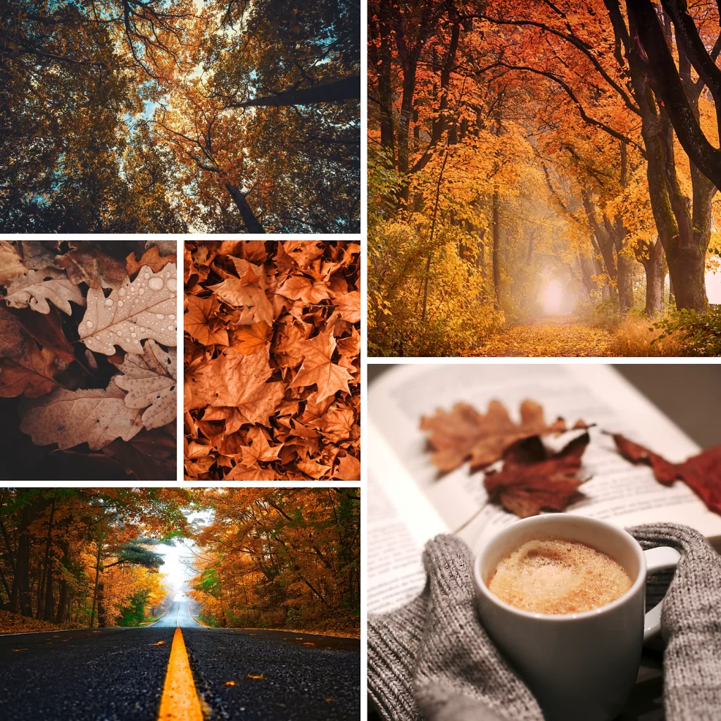 fall collage